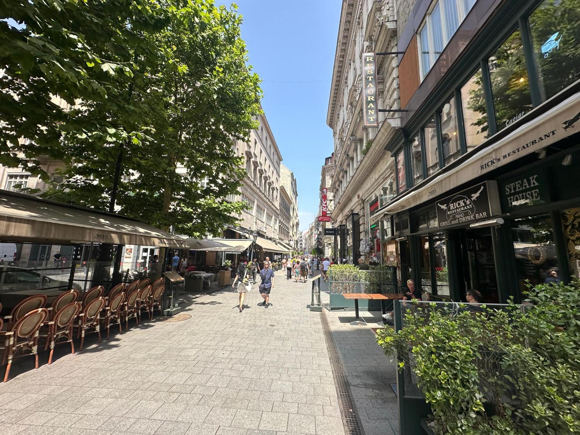 Bright Apartment In The Most Beautiful Street Of Budapest Vaci Street, Fashion Street บูดาเปสต์ ภายนอก รูปภาพ